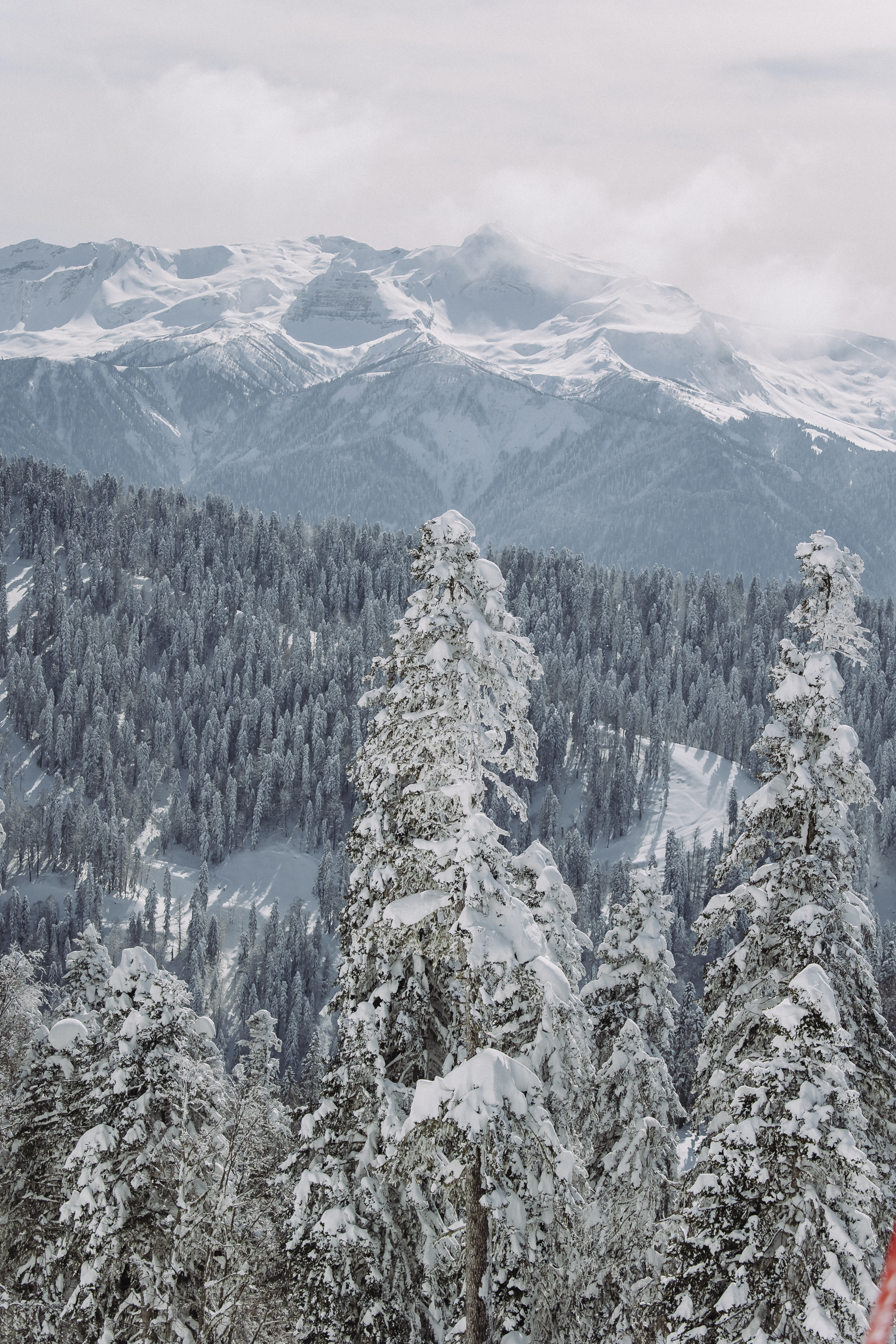 Мастер-класс по катанию на сноуборде