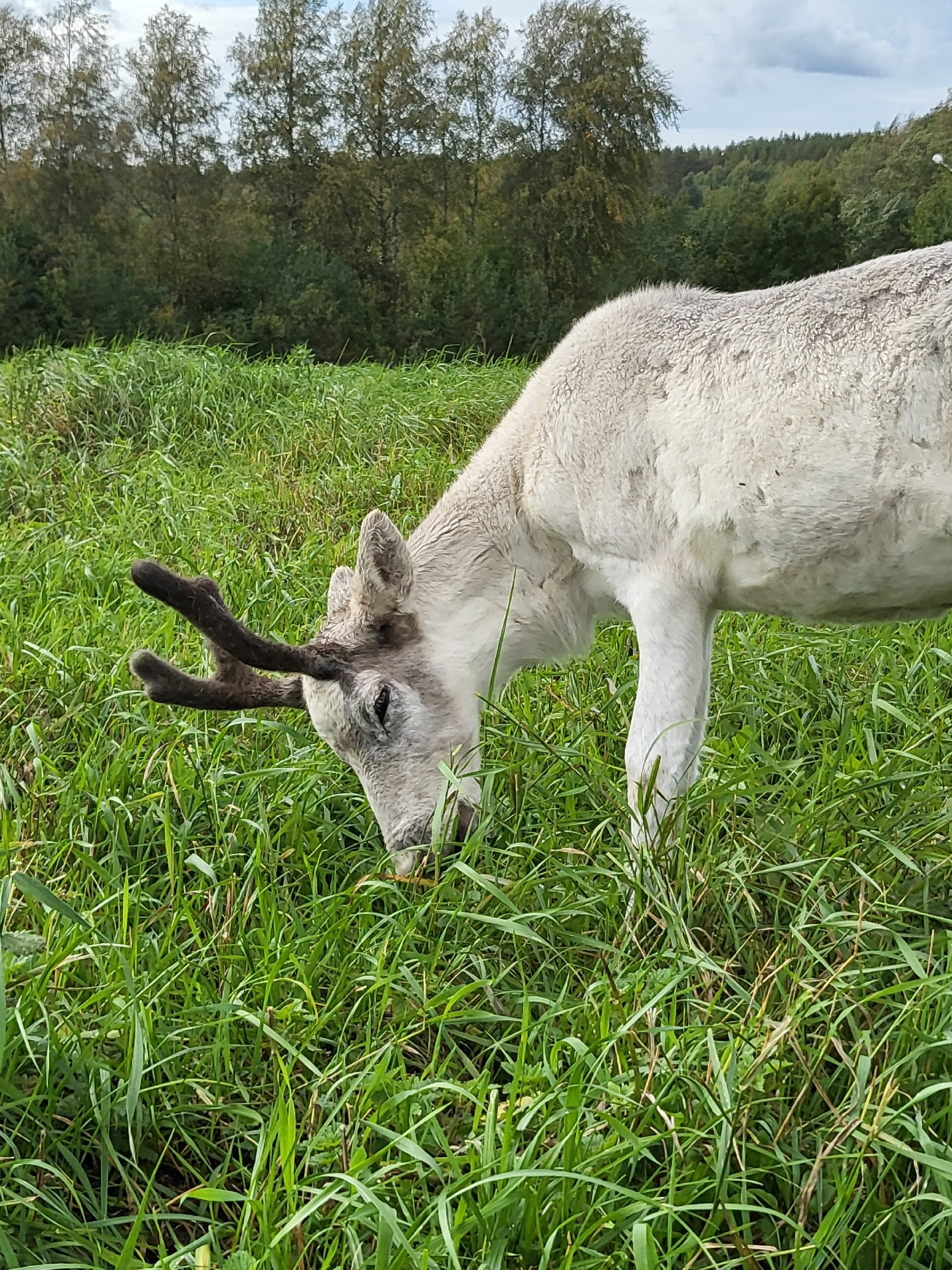 Прогулка на ранчо для двоих