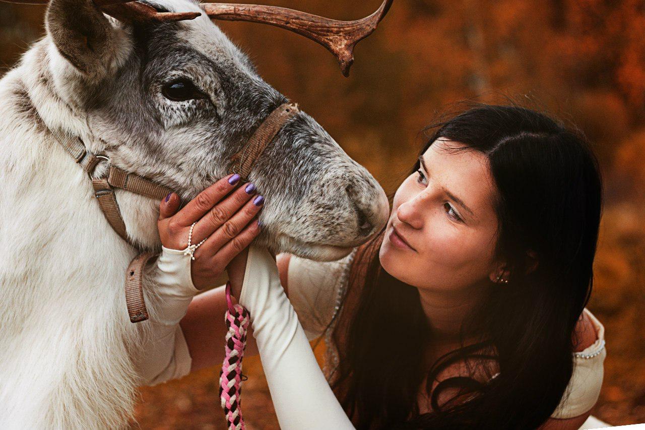 Аренда северных оленей для фотосессии на ферме