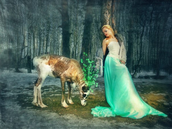 Аренда северных оленей для фотосессии на ферме