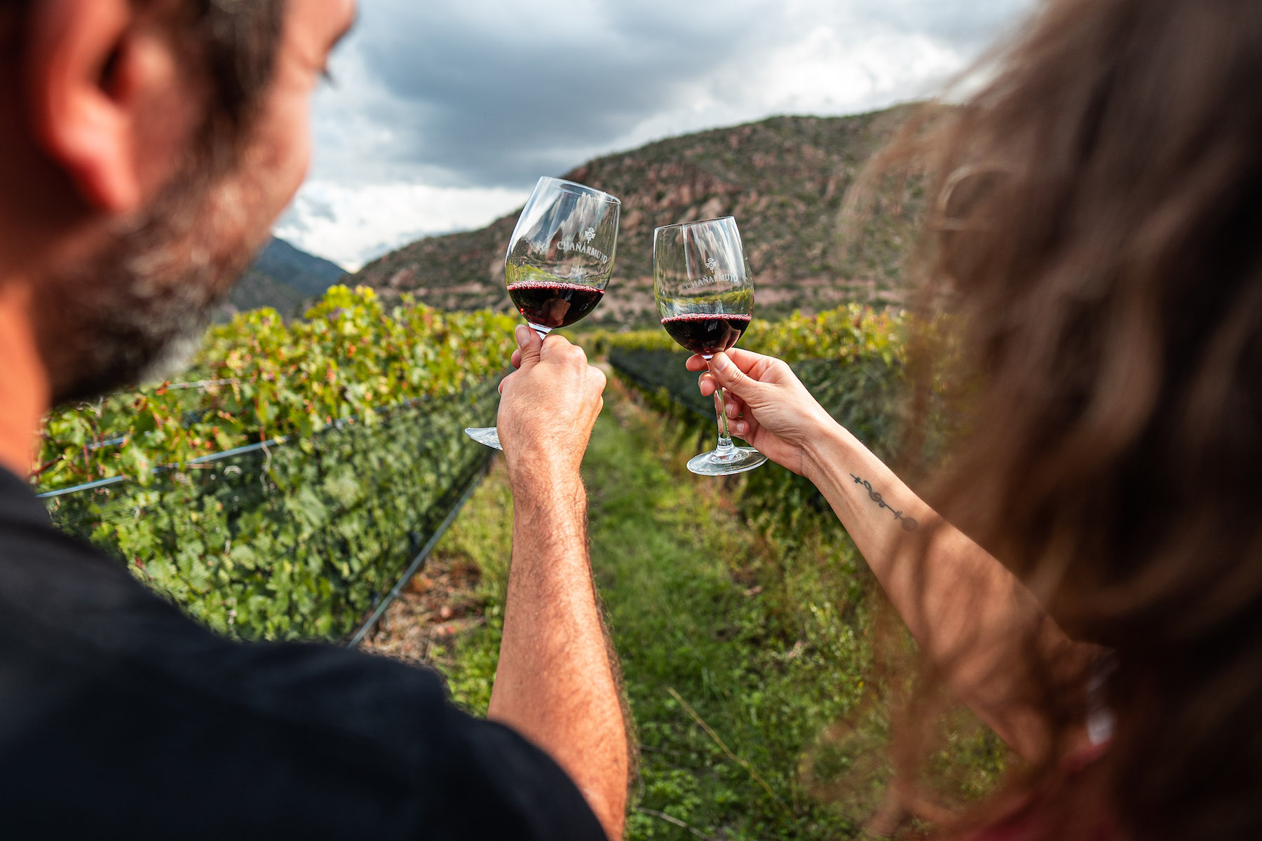 Консультация по формированию личной коллекции вина