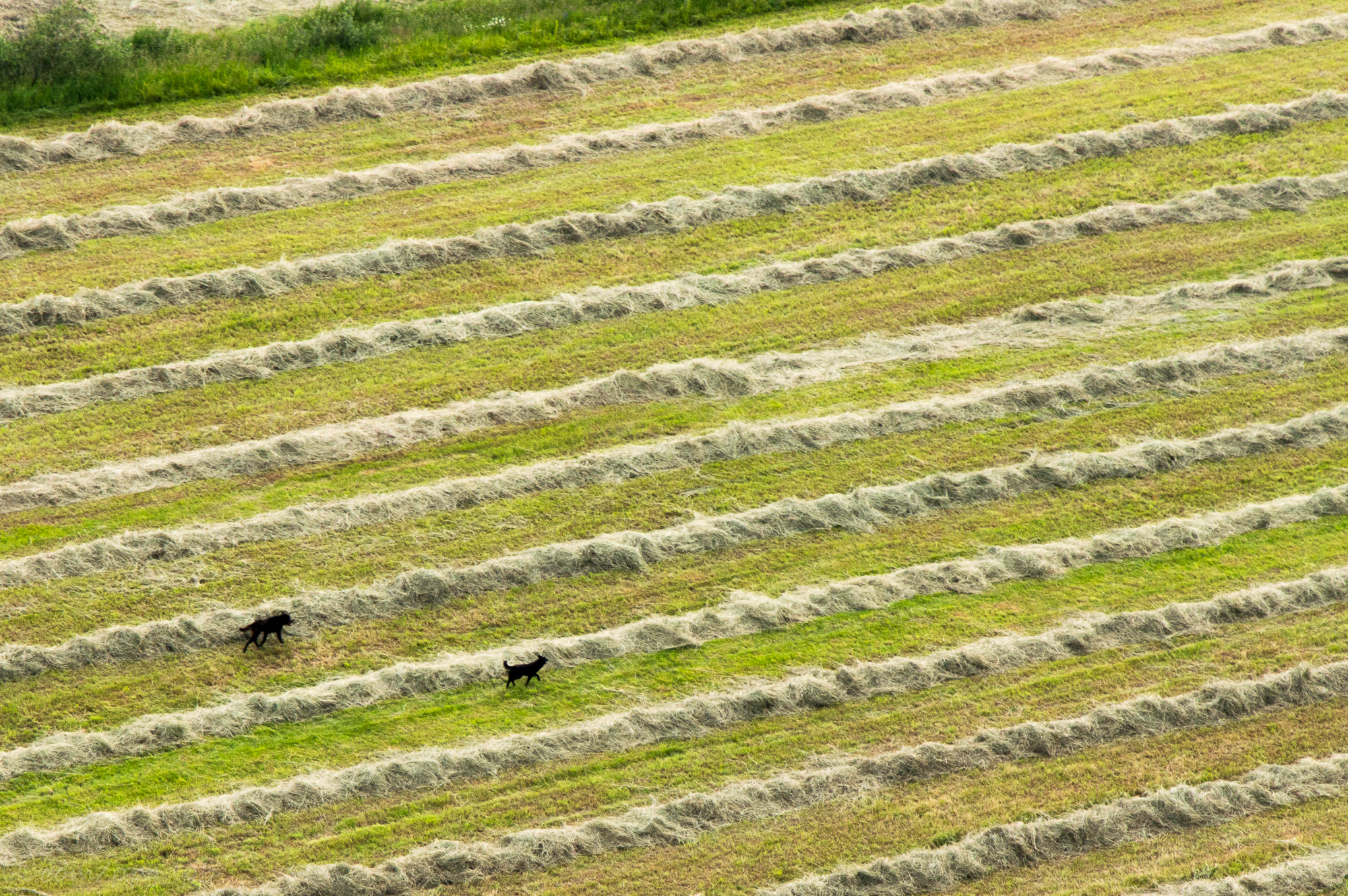 Воздушная экскурсия: полет на паратрайке