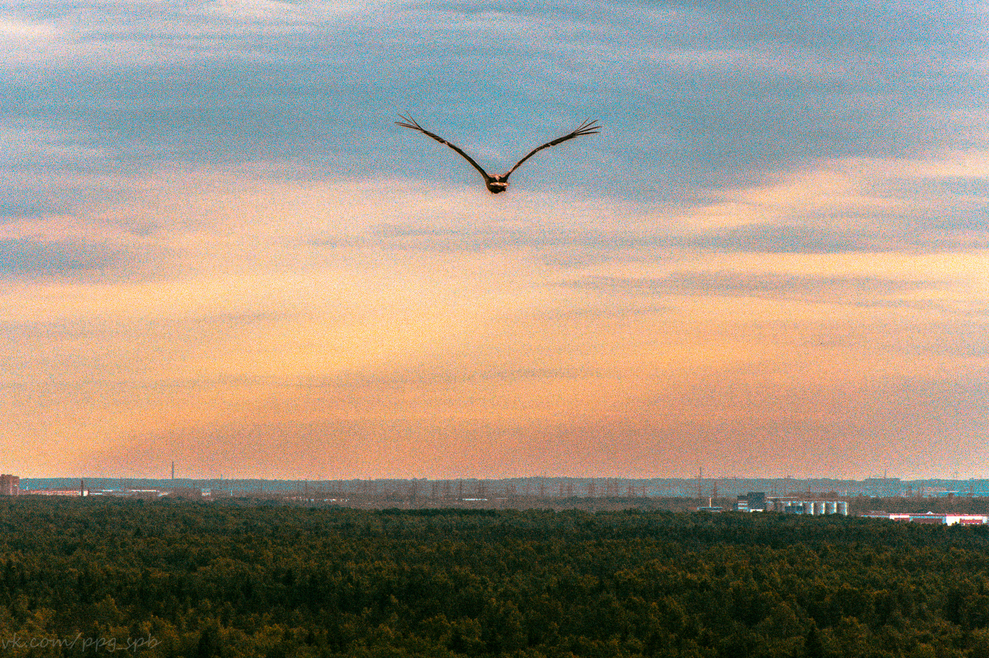 Воздушная экскурсия: полет на паратрайке