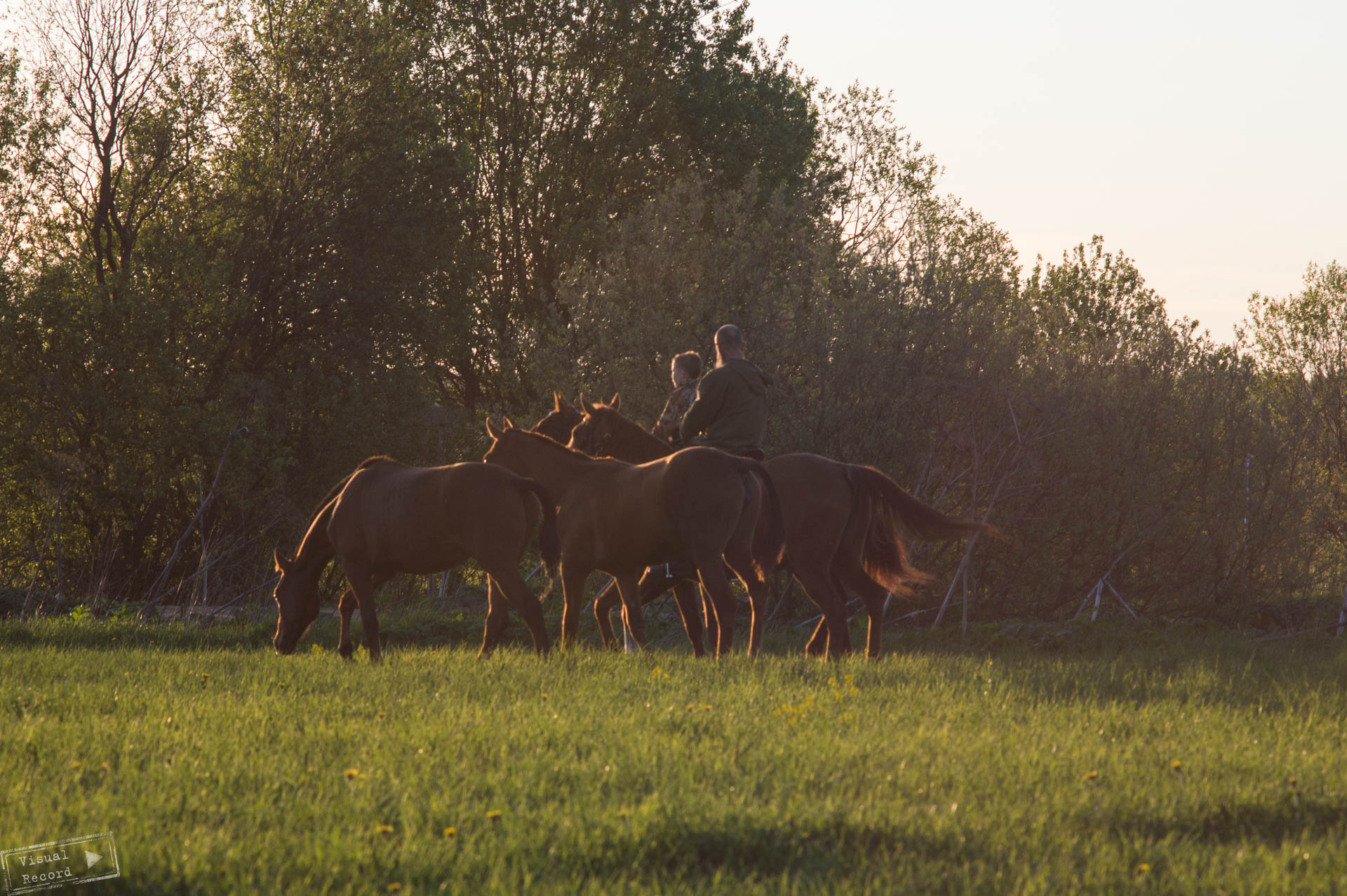 Полет на паратрайке для двоих